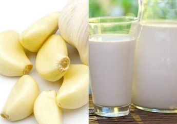 Stop Minum Obat! Rutin Minum Campuran Susu dan Bawang Putih Terbukti Jauh Lebih Ampuh Turunkan Kolestrol!