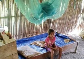 Menyayat Hati, Kakak-Beradik Di NTT Tinggal Di Gubuk Reyot Tanpa Orang Tua dan Penerangan Listrik, Sehari-harinya Rela Banting Tulang Demi Sesuap Nasi
