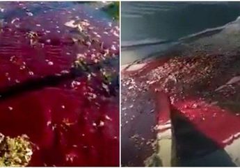 Gempa 6,8 SR Guncang Turki, Air Berwarna Merah Darah Keluar dari Jalanan yang Retak dan Buat Resah