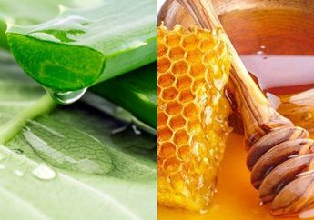 Bisa Serang Siapa Saja Tak Kenal Umur! Ini 6 Obat Alami Sembuhkan Asam Lambung dalam Waktu Singkat