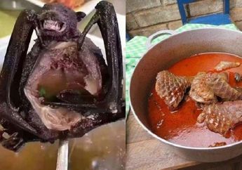 Bukan Kelelawar, Sup Daging Hewan ini yang Justru Disebut-sebut Peneliti Sebagai Perantara Virus Corona