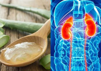 Dikenal Sebagai Obat Penangkal Sakit Ginjal, Siapa Sangka Orang degan Kondisi Ini Dilarang Keras Makan Lidah Buaya! Bisa Sebabkan Kematian