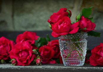 Jelang Hari Valentine, Harga Bunga Mawar Melonjak Drastis, Ternyata Sudah jadi Tradisi Rutin dari Tahun ke Tahun