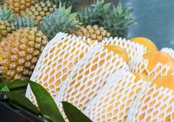 5 Manfaat Jaring Buah yang Tak Banyak Diketahui, Jangan Langsung Dibuang!