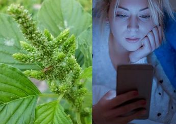 BERITA TERPOPULER: Dari Bunga Bayam Ternyata Punya Khasiat Luar Biasa sampai Main Handphone Sebelum Tidur Jadi Pemicu Kanker