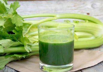Sering Dijadikan Obat Herbal, Siapa Sangka Seledri Ternyata Bisa Datangkan Hal Buruk Ini Pada Tubuh! Waspadai Mulai Sekarang