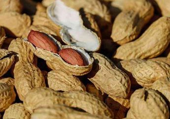 Enggak Nyangka! Biasa Dibuang-buang, Ternyata Kulit Kacang Bisa Datangkan Hal Ajaib Ini! Wajib Dicoba