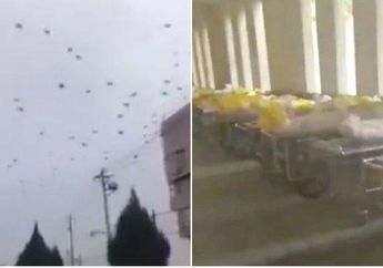 Geger Video Ribuan Gagak Terbang di Langit Wuhan, Netizen Sebut Sang Gagak Berburu Mayat Korban Virus Corona hingga Bikin Bulu Kuduk Merinding