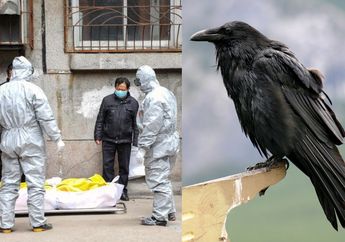 47+ Serangan burung gagak di wuhan terupdate