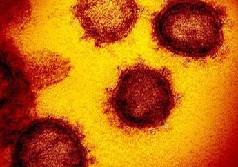 Kabar Terbaru Wabah Virus Corona, Korban Meninggal Mencapai 2.128 Orang dan 4 WNI Positif Terinfeksi, WHO Beri Peringatan Akan Hal Ini