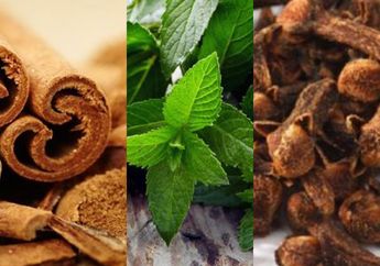 Lebih Ampuh Dari Obat Kumur, Campuran Rempah Dapur & Pappermint Bisa Usir Bau Mulut hingga Tidak Kembali Lagi!