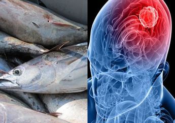 Dikenal Baik Untuk Ginjal, Siapa Sangka Ikan Tuna Bisa Picu Tumor Otak, Waspada!