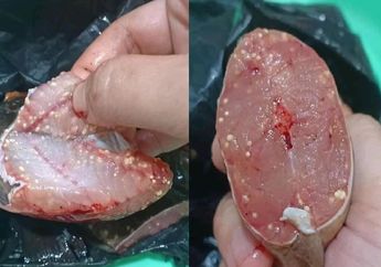 Ramai Disebut Mengandung Cacing, Peneliti Ungkap Fakta Tentang Daging Ikan Lele Berbintik Putih, Jadi Aman Dikonsumsi?