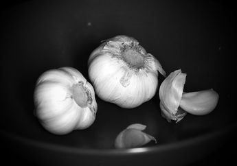 Inilah yang Terjadi Pada Tubuh Jika Rutin Konsumsi 6 Siung Bawang Panggang, Banyak Manfaatnya Loh Buat Tubuh!