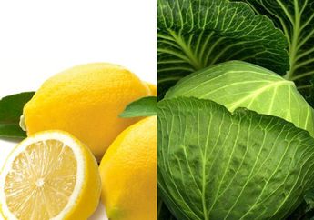Lebih Ampuh Dari Obat, Siapa Sangka Rutin Minum Jus Kol dan Lemon Setiap Pagi Bisa Cegah Penyakit Mematikan Ini!