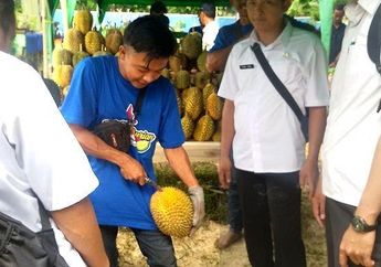 Dulu Tak Tamat SMK hingga Terpaksa Banting Tulang Sampai ke Negeri Tetangga, Mantan TKI Ini Kini Sukses jadi Bandar Durian di Desanya dengan Penghasilan Rp 9 Juta per Bulan!