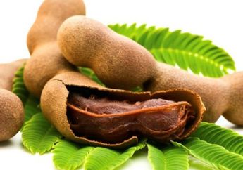 Biasanya Jadi Bumbu Masak, Siapa Sangka Asam Jawa Miliki Manfaat Luar Biasa Ini Bagi Tubuh Anda, Wajib Coba!