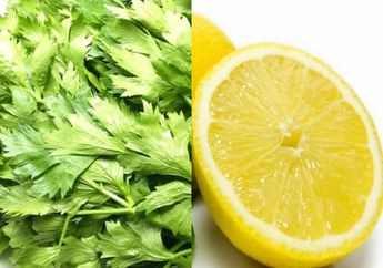 Rutin Minum Rebusan Seledri dan Lemon Setiap Bangun Tidur, Diabetes Pasti Tak akan Menyentuh Tubuh