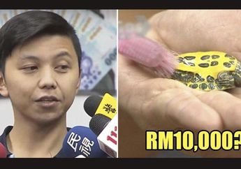 Tolak Gaji Rp 13 Juta di Restoran, Pria Ini Lebih Pilih Jadi Tukang Sikat Kura-kura! Alasannya Pasti Bikin Kita Tercengang