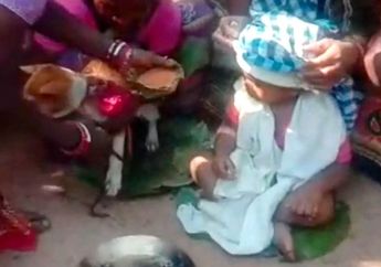 Dihadapan Banyak Orang, Bayi Ini Dinikahkan dengan Seekor Anjing oleh Orang Tuanya, Ternyata Awalnya Panik Karena Orang Tuanya Temukan Hal Ini Pada Tubuh Anaknya Itu