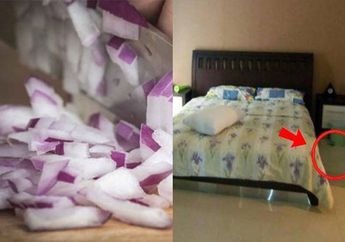 Enggak Nyangka, Cuma Taruh Irisan Bawang Merah di Sudut Ruangan Saat Musim Hujan Ternyata Bisa Munculkan Hal Ajaib Ini!