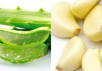 Biasanya Untuk Kesuburan Rambut, Siapa Sangka Rutin Minum Jus Lidah Buaya Dan Bawang Putih Bisa Cegah Penyakit Mematikan ini