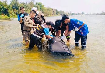Dikira Dipenuhi Ikan Busuk, Koper Besar yang Mengambang di Sungai Ini Diambil Warga, Setelah Dibuka Isinya Membuat Gempar dan Ngeri, Nelayan: Awalnya Sulit Dibuka