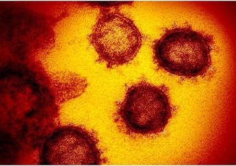 Dua Warga Indonesia Resmi Terinfeksi Virus Corona, Hati-Hati Virus Coronya Hanya Butuh 15 Detik Untuk Menginfeksi Bahkan Tanpa Kontak Fisik, Menular dengan Cara Tak Terduga Ini