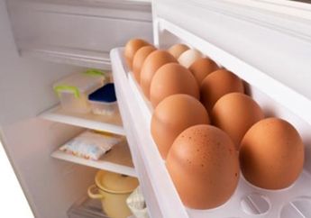 Jika Masih Sayang Nyawa Anda, Jangan Lagi Simpan Telur di dalam Kulkas, Hal Mengerikan ini yang Jadi Alasannya