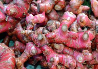 Tingkatkan Sistem Imun dengan Minum Air Jahe Merah. Ini 7 Khasiatnya!