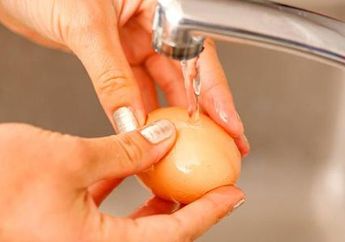 Jangan Lagi Cuci Telur Ayam dengan Air yang Mengalir, Bahaya ini yang Menjadi Alasan Utamanya