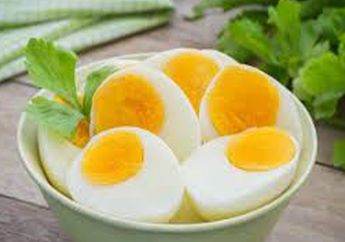 Deretan Makanan ini Sebaiknya Tidak Dikonsumsi Bersama Telur Ayam, Bisa Bikin Keracunan