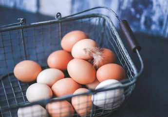 Tidak Boleh Sembarangan, ini Jenis Telur Ayam yang Boleh Dibekukan