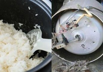 Kebingungan Nasi di Rumah Lekas Basi, Laki-Laki Ini Kaget Bukan Kepalang Temukan Hal Ini saat Bongkar Rice Cookernya!