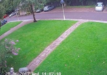 Seorang Pria Tertangkap Kamera CCTV Sengaja Melukai Kakinya Sendiri, Ternyata Ada Niat Jahat di Baliknya