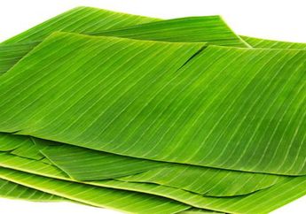 Sering Dianggap Sebelah Mata, Daun Pisang Punya Manfaat Untuk Orang yang Sedang Jalani Program Diet