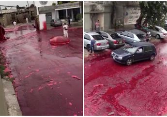 Bau Anyir Tercium Akibat Genangan Darah Banjiri Satu Kota, Orang-orang Panik Ketakutan, Setelah Diselidiki Terungkap darimana Asal Genangan Darah Tersebut