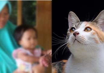 Bahaya Pelihara Kucing, Seorang Bayi Hampir Diamputasi Jarinya Gegara Digigit Kutu Kucing, Begini Kronologinya!