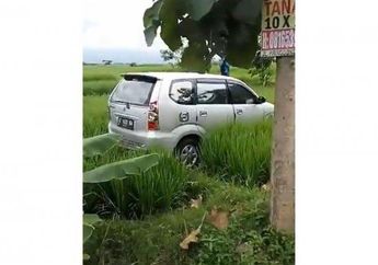 Sempat Heboh di Twitter hingga Dikaitkan dengan Ulah Mahkluk Gaib, Begini Kronologi Mobil yang Tiba-tiba Berada di Tengah Sawah