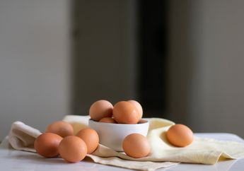 Miliki Kandungan Lemak Tinggi, Ternyata Deretan Makanan Ini Justru Baik Untuk Tubuh, Salah Satunya Telur Ayam