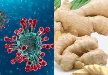 HATI-HATI! Dipercaya Jadi Obat Alami Tangkal Corona, Siapa Sangka Orang-orang Dengan Kondisi Ini Dilarang Keras Konsumsi Jahe!