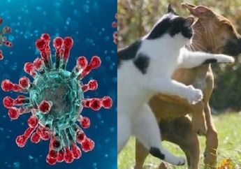 Virus Corona Jadi Perhatian Dunia, Benarkah Hewan Peliharaan Juga Bisa Tularkan Virus Mematikan Ini? Simak Penjelasannya