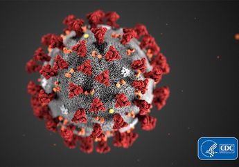Disebabkan Kelompok Virus yang Sama, Ini 4 Perbedaan Covid-19, MERS dan SARS!