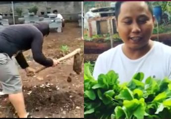 Isolasi Diri untuk Hindari Wabah Virus Corona, Narji Banting Setir Jadi Petani Sayuran di Lahan Bekas Tumpukan Sampah