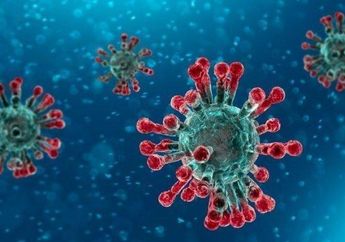 Ilmuwan Ungkapkan Skenario Untuk Membumihanguskan Virus Corona Hingga Hancur Tak Tersisa, Begini Caranya