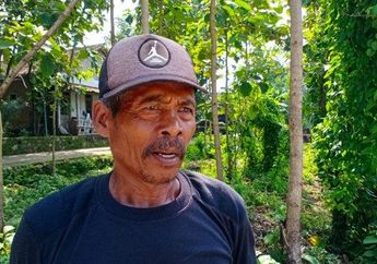 Diberi Tanggung Jawab Menggali Pusara Keluarga Jokowi, Sosok Ini Akui Tak Pernah Mau Terima Satu Hal Ini Dalam Menjalankan Tugasnya dan Tolak dengan Keras Jika Dipaksa: Saya Pasti Protes!