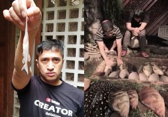 Rugi Ratusan Juta dalam Semalam, Irfan Hakim Hanya Bisa Tertunduk Lemas Usai Tahu Puluhan Ikan Mahalnya Mati karena Hal Sepele, Karyawan: Ini Saya yang Salah...