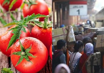 BERITA TERPOPULER: 5 Makanan yang Tidak Boleh Dikonsumsi Setiap Hari Sampai Warga Pilih Mudik dengan Jalan Kaki