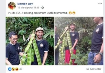 Viral Penemuan Buah Aneh di Dalam Hutan oleh Pria Banjarnegara, Bentuknya seperti Petai Namun Besar! Ternyata Rasanya Unik!