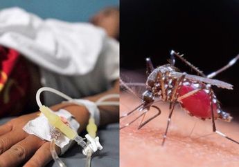 Obat Alami DBD, Konsumsi 3 Makanan Alami Ini Dijamin Ampuh Percepat Sembuhkan Demam Berdarah!
